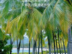 -半山半岛洲际度假酒店·观海廊