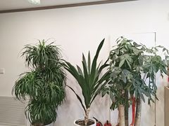 -艾柏堂8090经络·艾灸养生(御庭府邸店)