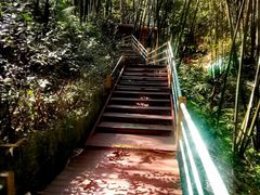 -红山村