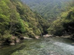 -大鄣山卧龙谷景区