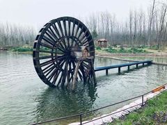 -合肥滨湖国家森林公园