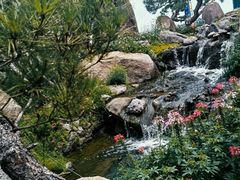 -罗红摄影艺术馆