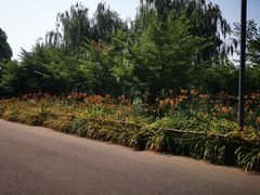 -马家湾湿地公园