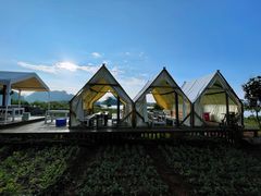-夏屿湖畔.落日湖景餐厅(普者黑景区店)