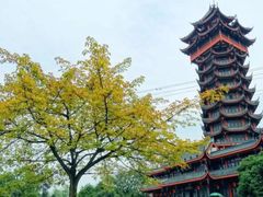 -塔子山公园
