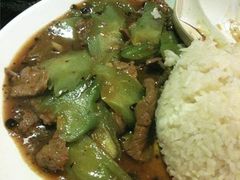 凉瓜炒肉片饭-洞味圆茶餐厅(嘉立店)
