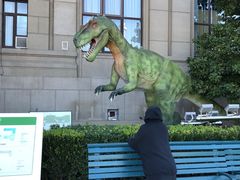 -国家自然博物馆