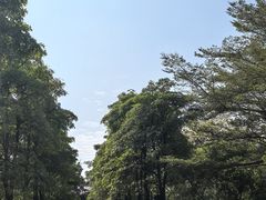 -海珠湖公园