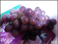 -马陆小张葡萄园农家乐