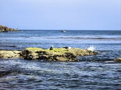 -银沙滩浴场