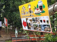 -清迈丛林飞跃 JungleFlight