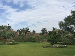 -宝鸡植物园