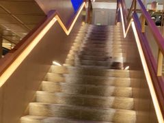 -额尔敦牛厨师铜板烧