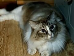 -白兔子密室(长寿路店)