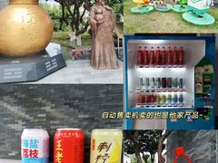 -广州神农草堂中医药博物馆