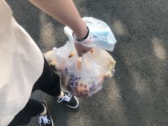 -小老虎