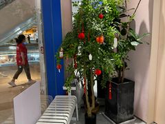 -天真蓝照相馆(杭州滨江宝龙店)