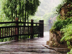 -三峡人家风景区