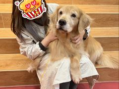 -和它·交个朋友·狗咖猫咖(爱琴海店)