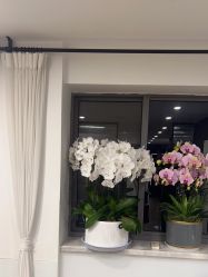 点击看大图 -Garden花園造型