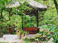 -西岭雪山大飞水景区
