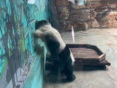 -石家庄市动物园