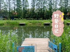 -前小桔亲子创意农场·草莓采摘·露营烧烤