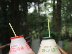 -汉拿树木园