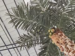 -石岐乳鸽村(南海第三分店)