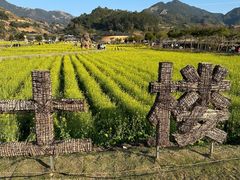 -福建土楼（华安）旅游区•大地土楼群