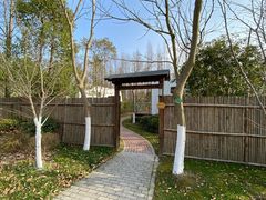 -上海海湾国家森林公园