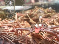 -紫阳海鲜楼·传承闽味(长乐路总店)
