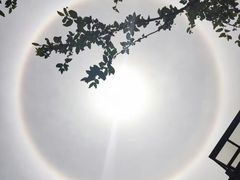 -赛卡联盟WSK卡丁车俱乐部