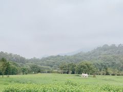 -福建鲤鱼洲酒店