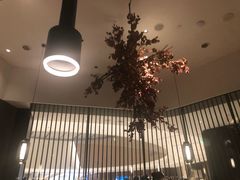 -大头椰·海南椰子鸡火锅(思明万象城店)