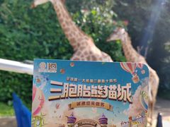 -广州长隆野生动物世界