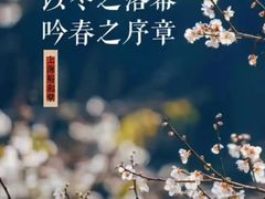 -裕和堂中医推拿艾灸(太古汇臻品店)