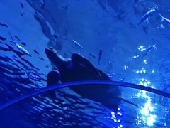 -多彩贵州城极地海洋世界