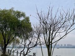 -无锡蠡湖国家湿地公园-蠡园