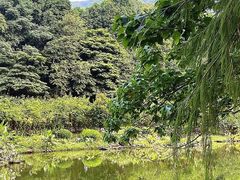 -深圳仙湖植物园
