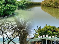 -大湾区中央湿地公园