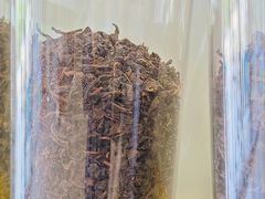 -雾与山茶(大禹城店)