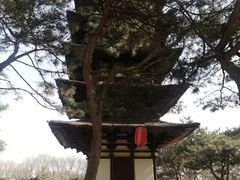 -北京世界公园