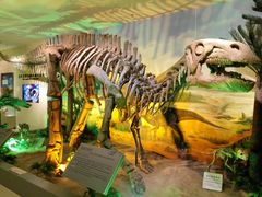 生命演化厅-甘肃地质博物馆