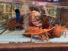 -阿伟海鲜楼·福建菜(延寿店)