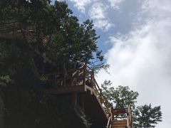 -秦岭天竺山景区