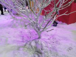 -圣名游乐城冰雪大世界