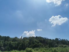 -青龙山国家森林公园
