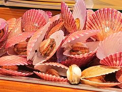 -虾宝贝胶东海鲜·渔家菜(小西天店)