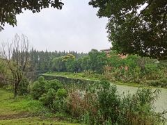 -南湖湿地公园